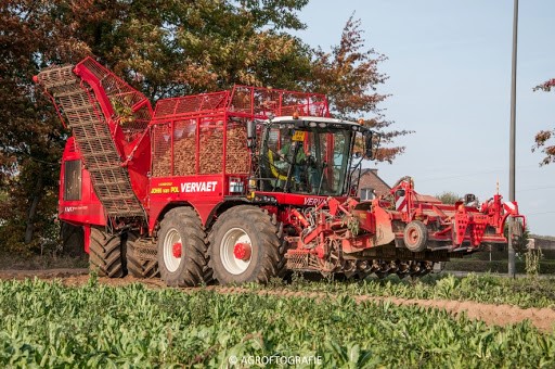 Vervaet Beet Eater 625 van Loonbedrijf Vedelaar